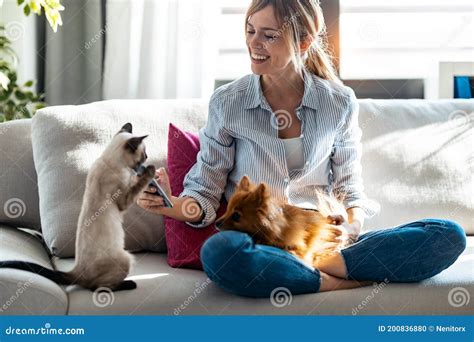 Top 999+ cute dog and cat images – Amazing Collection cute dog and cat ...