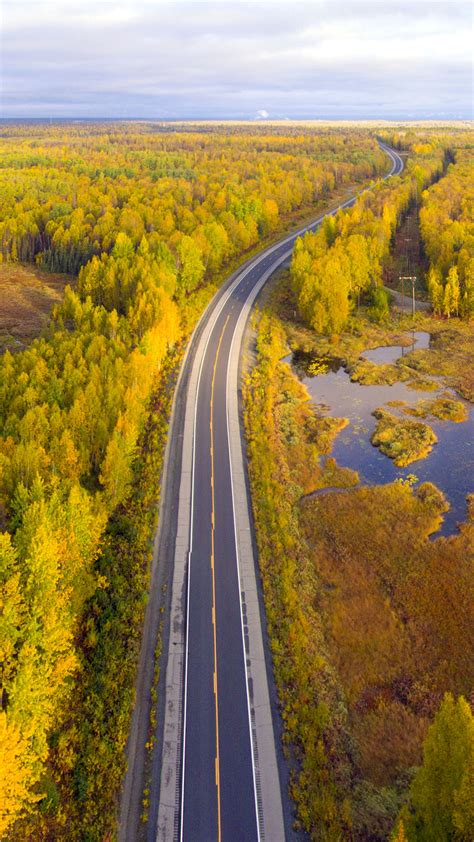 George Parks Highway in fall with the morning sun light, Denali State ...