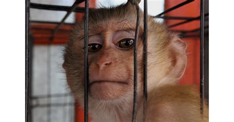 No-Trade No Killing 的图像结果