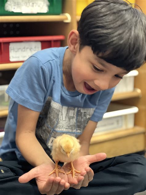 The Parkside School – PS 130: One Family, Growing Together