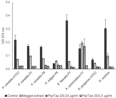 Lyophilized Extract from Larvae of the Blowfly Lucilia sericata as a ...