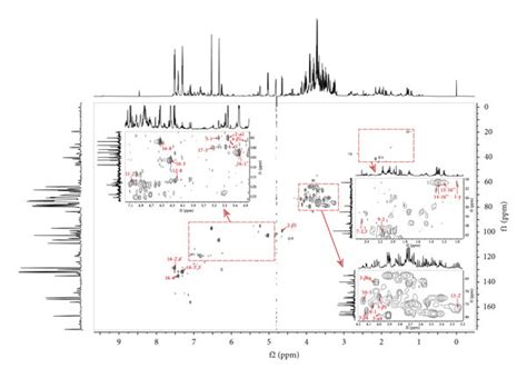 Image result for HSQC Structure