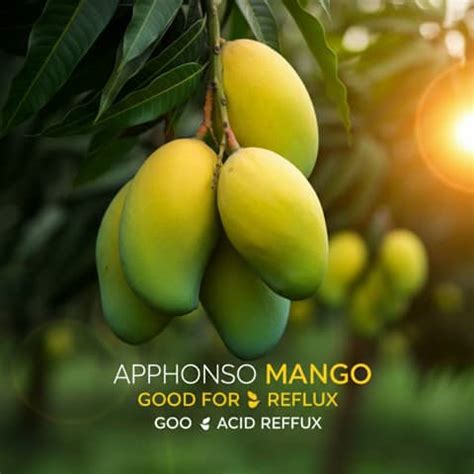 Mango for Acid Reflux -Buy Low-Acid Mangoes Online – AlphonsoMango.in