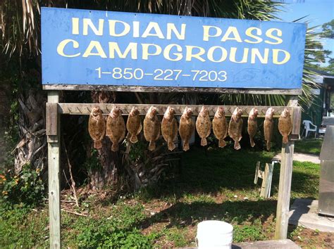 INDIAN PASS CAMPGROUND - Updated 2022 Reviews (Port Saint Joe, FL)