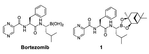 Bortezomib Congeners Induce Apoptosis of Hepatocellular Carcinoma via ...