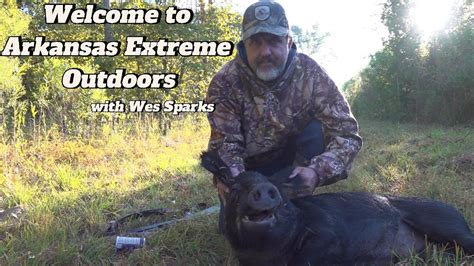 Exploding Pigs 的图像结果