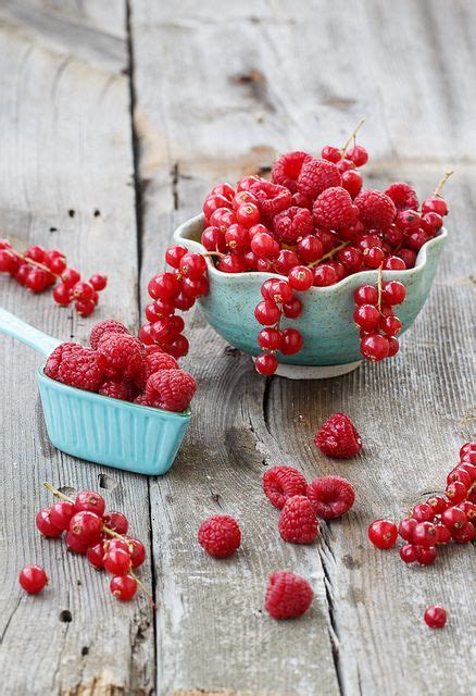 Image result for Raspberry Pi OS 32-Bit Lite