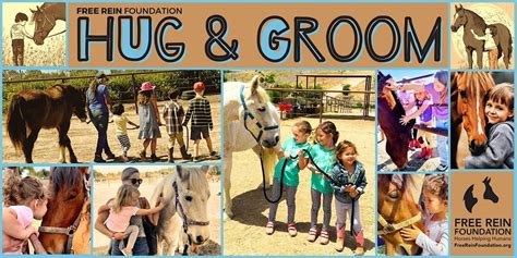 Hug and Groom - July 2024, Huntington Central Park Equestrian Center ...