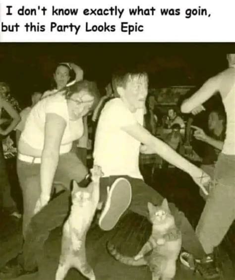 Image result for Code Coverage Close Meme