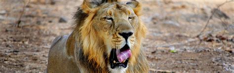 Home [www.bluehourstudios.in]