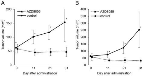 Antitumor Effect of mTOR1/2 Dual Inhibitor AZD8055 in Canine Pulmonary ...