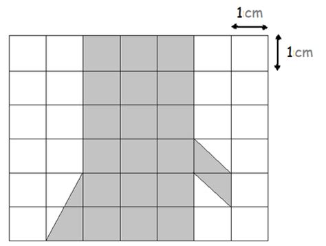 IMO Class 3 level 2 Question Paper - Set 6 | Olympiad tester