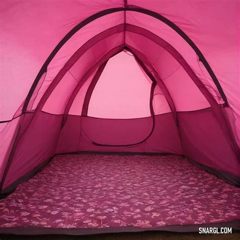 Cerise pink - What is Cerise Pink Color & How to Use It