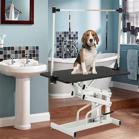 Buy Hydraulic Dog Grooming Table, Heavy Duty Height Adjustable Large ...