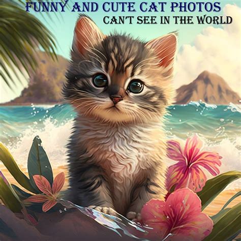 Funny and Cute cat images-You are can't see this types of photos in the ...