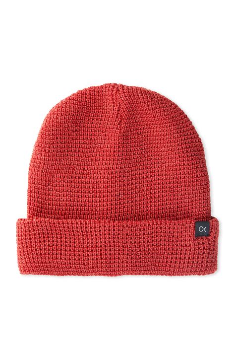 Install Beanie Python 的图像结果