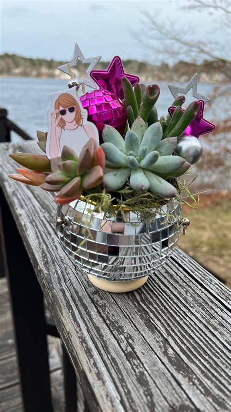 Plant Night-Taylors Version @ Vitamin Sea Brewing , Vitamin Sea Brewing ...