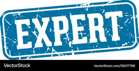 Image result for Expert Pattern