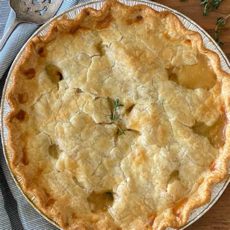 Jackfruit Potpie Recipe – Wakao Foods