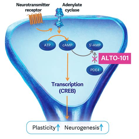 Image result for Updated Alto Algorithm