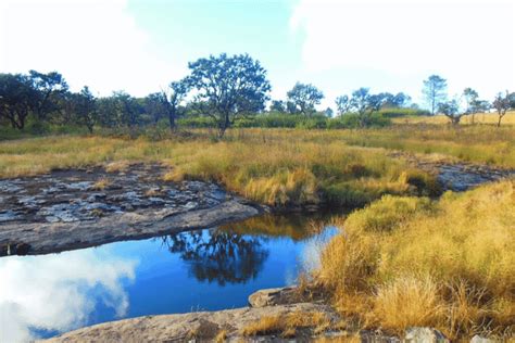 Road Trip Across the Seven Sisters of India: What to See and Where to ...