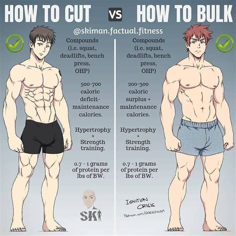 GYMBEASTON on Instagram: "How to Cut vs Bulk 👌🏼 @fit_grammers - 📸 by ...