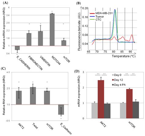 Pivotal Role of AKT2 during Dynamic Phenotypic Change of Breast Cancer ...