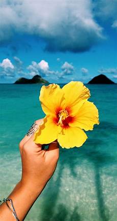 Summer Aesthetic Wallpapers by Aesthetic Hawaii Wallpapers Top Free Aesthetic Hawaii Summer Aesthetic Wallpapers