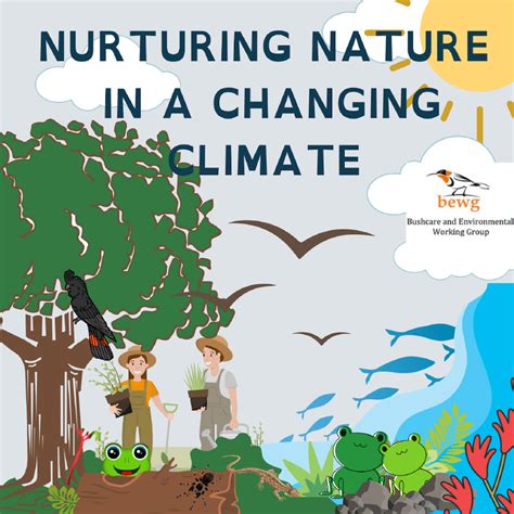 Environmental 的图像结果