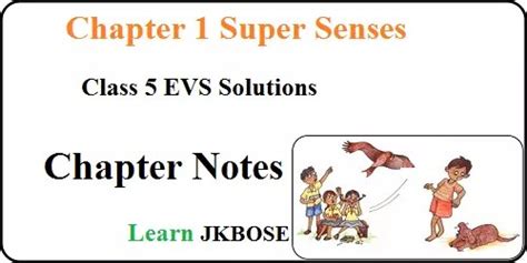 Class 5th Science Chapter Super Sense 的图像结果