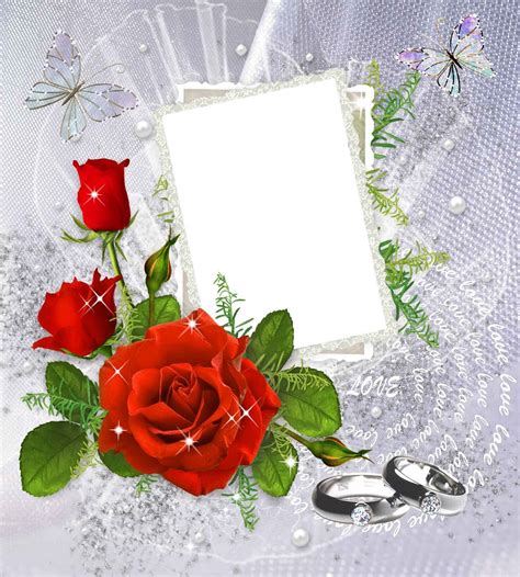 Rings, Roses, Wedding Photo Frame PNG Transparent Background, Free ...