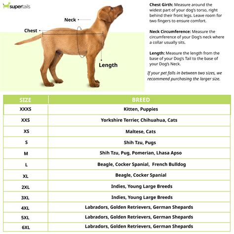 Pawgypets High Neck Cable Kint Sweater for Dogs and Cats (Black ...