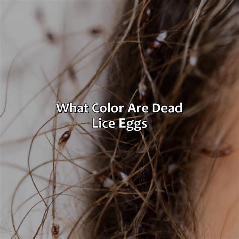 What Color Does Orange And Green Make - colorscombo.com