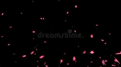 Particle Motion Graphics 的图像结果