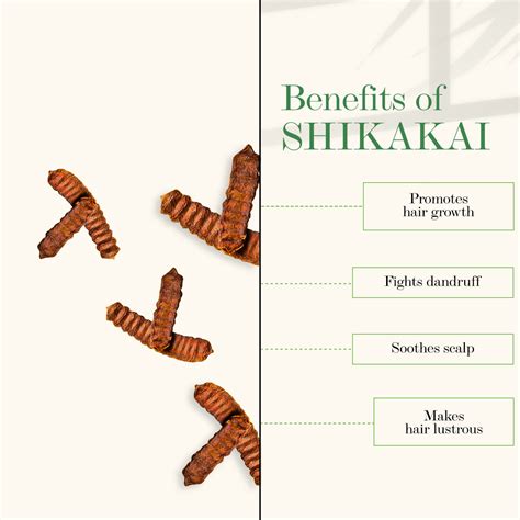 Buy Good Vibes Amla & Shikakai Strengthening Conditioner (120 ml)