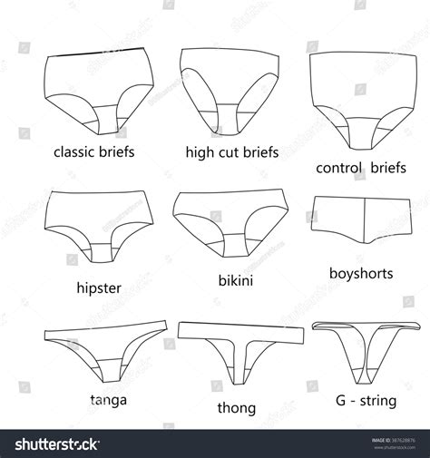 Collection Different Types Panties Stock Illustration 387628876 ...