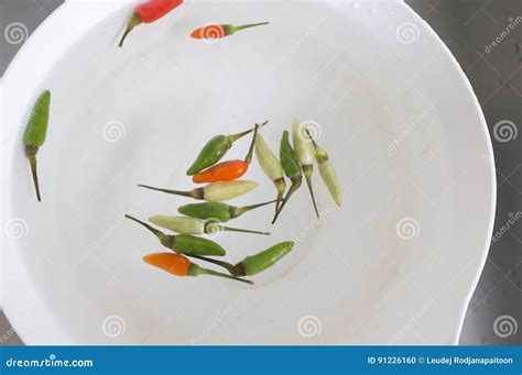 Top View , Chili Pepper on Water Stock Photo - Image of fiery, cooking ...