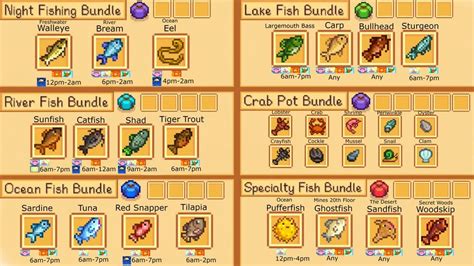 Image result for Coding Course Gift Set