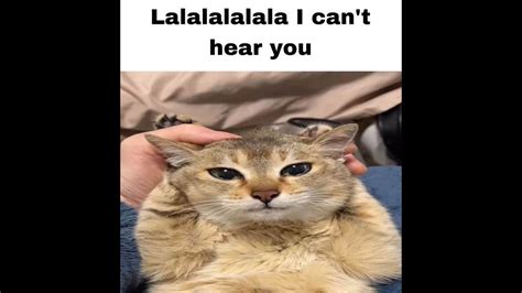 Cattles Kittens Rowblox Videos Channel by Azharla 的图像结果