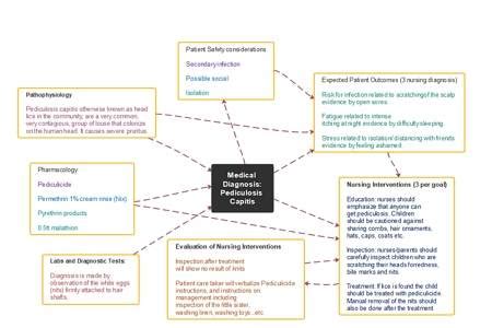 Nursing Concept Map Template | EdrawMind