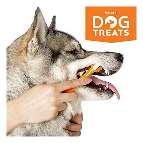 Image result for Animal Toothpaste