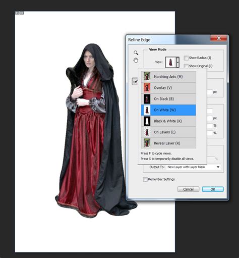 Image result for Tutorial for Extraction Is Photoshop CS6