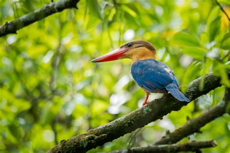 Jennifer+Connelly+Breasts Photos, Download The BEST Free Jennifer ...