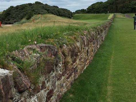 The most fun you'll ever have on a golf course - Reviews, Photos ...