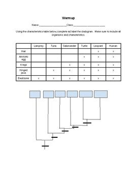 Image result for Cladogram Character Table