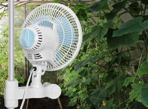 Best Extractor Fan For Grow Tent at Pam Kirkland blog