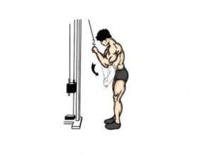 Know your exercise: Triceps cable extensions | TheHealthSite.com