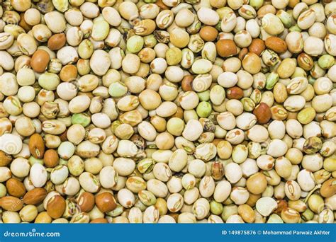 Close Up of Beautiful,colorful Dried Kidney Beans on a Table Stock ...
