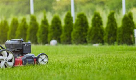 I migliori tagliaerba a scoppio del 2019   Guida con foto  