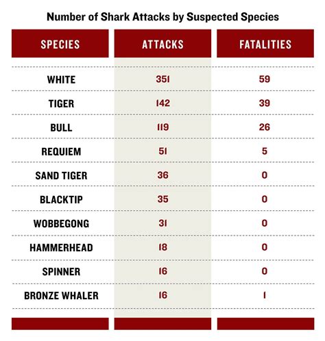 How Many Shark Attacks Per Year? | Field & Stream